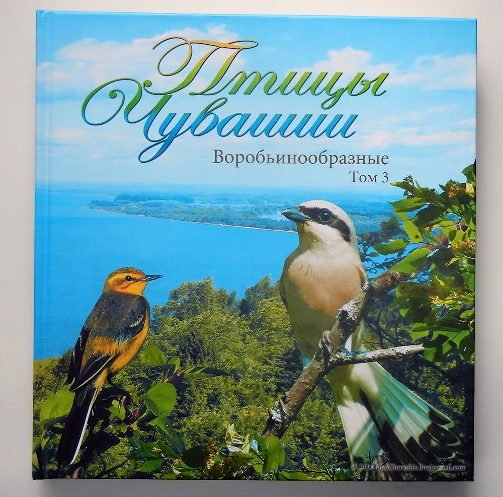 Птицы Чувашии
