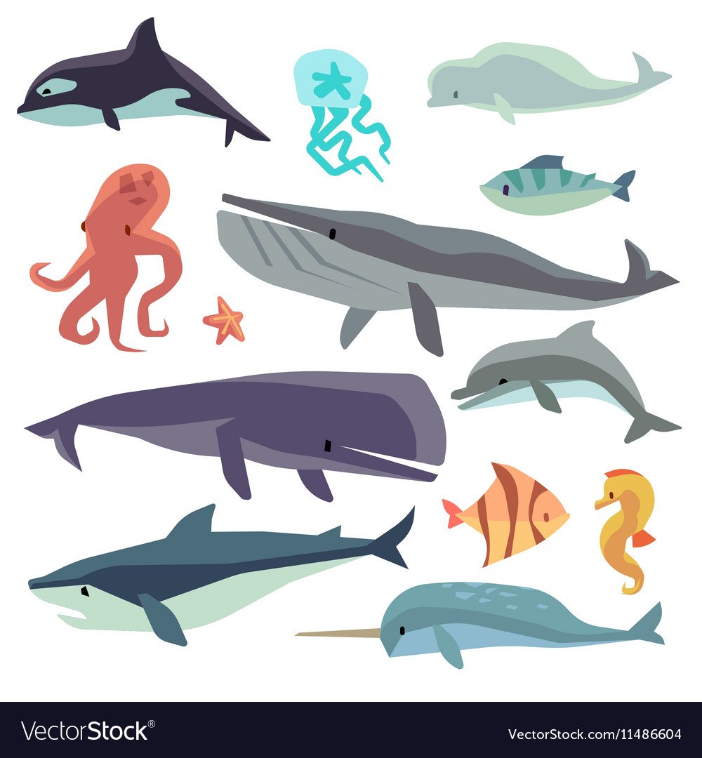 Акула кит alan