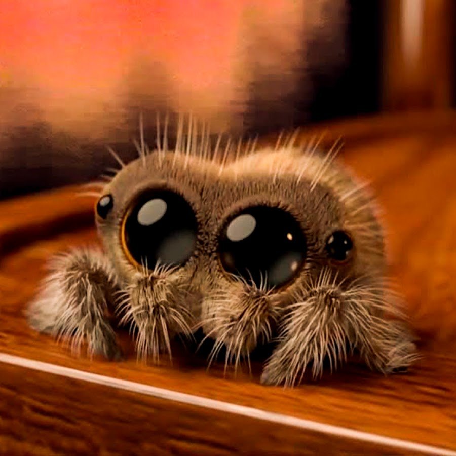 Поделка насекомые для детей