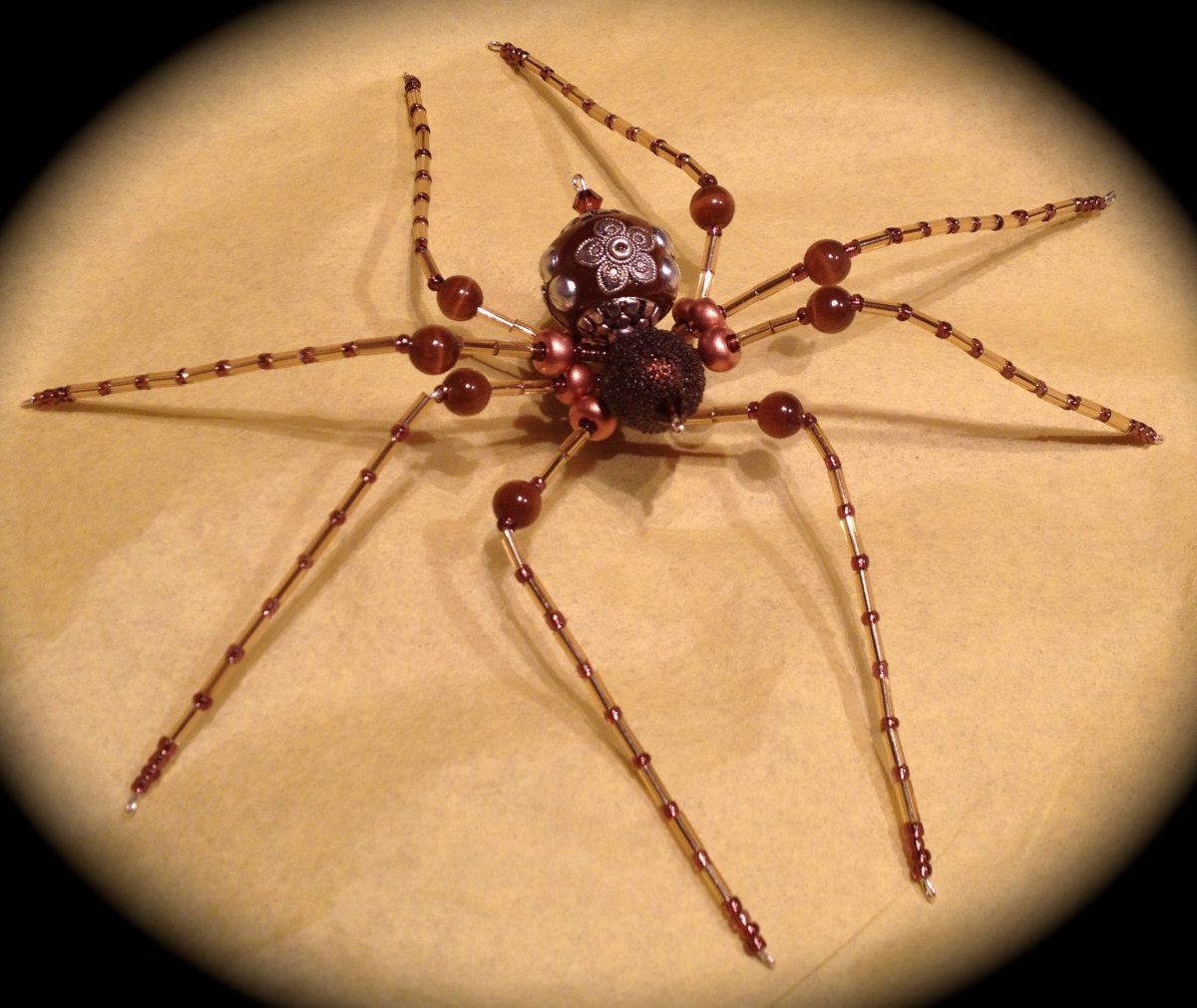 Сенокосец паук Сибирский