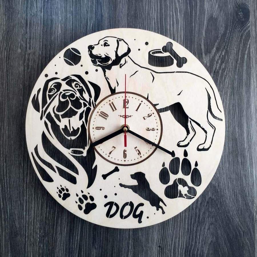 Паук птицеед Нефила