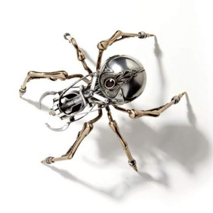 Паук скакунчик роса