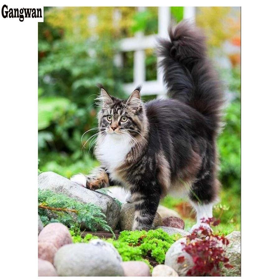 Норвежская Лесная кошка Калико