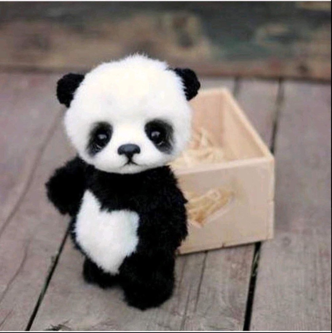 Милые пандочки