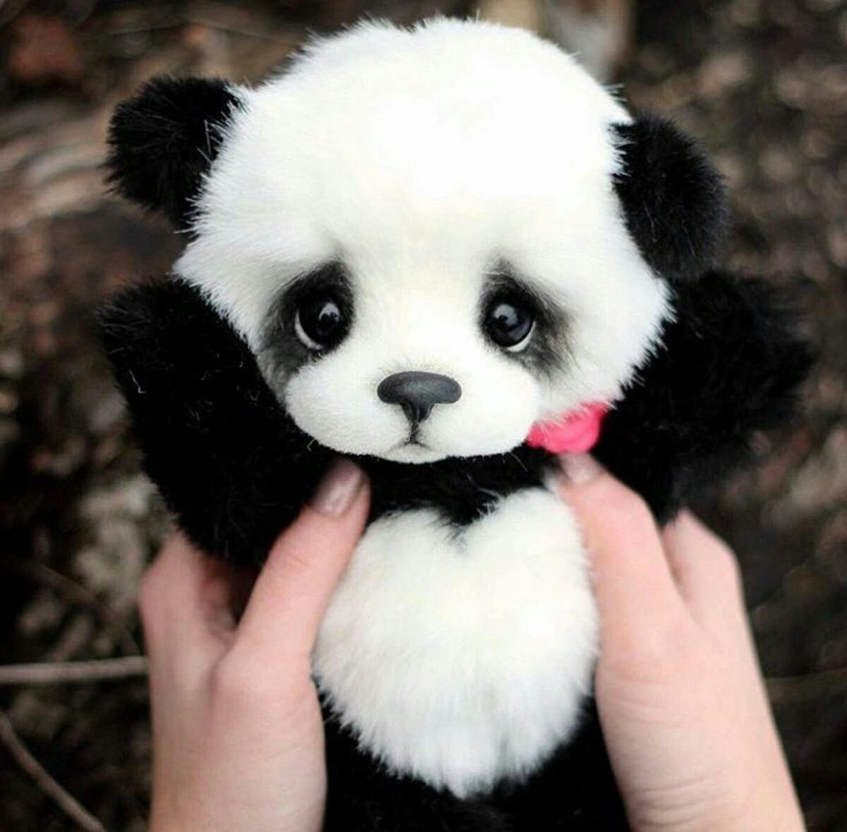 Няшные панды