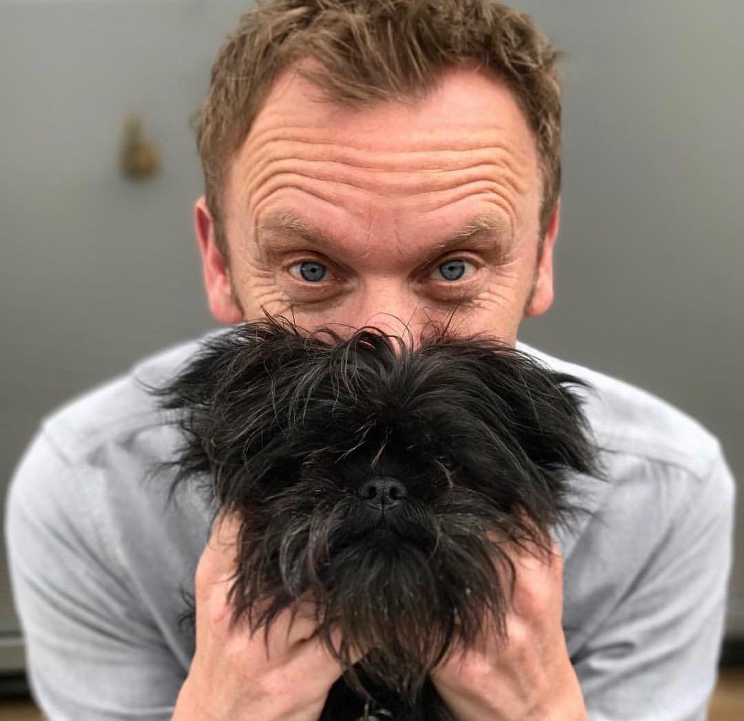 Аффенпинчер Московский Обезьяний