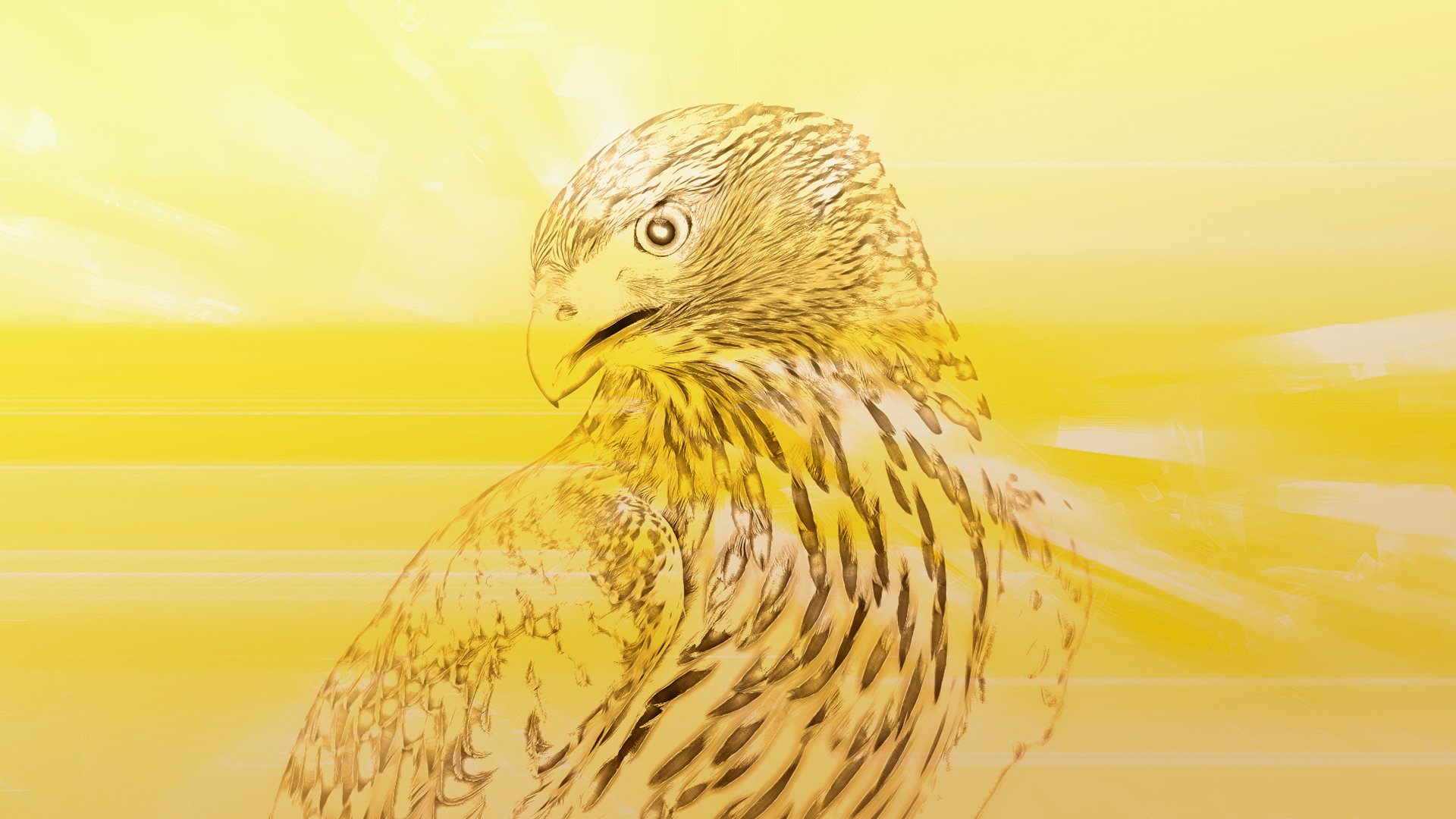 Орлов на обои телефона. Жёлтый орёл золотой орёл. Орел на желтом фоне. Орел обои. Желтый Орел арт.