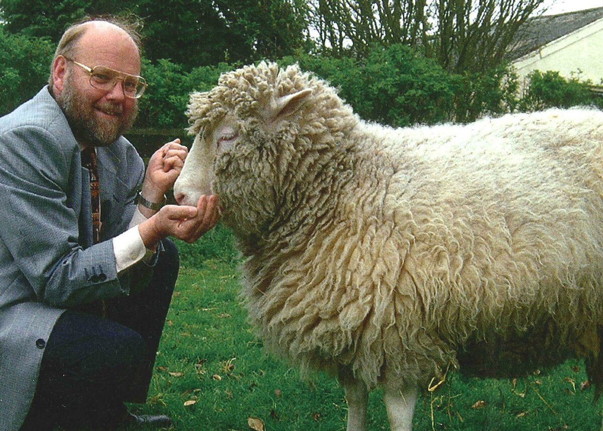 Овечка Долли