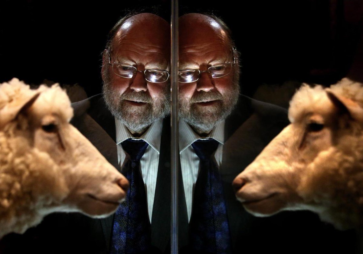 Овечка Долли клонирование