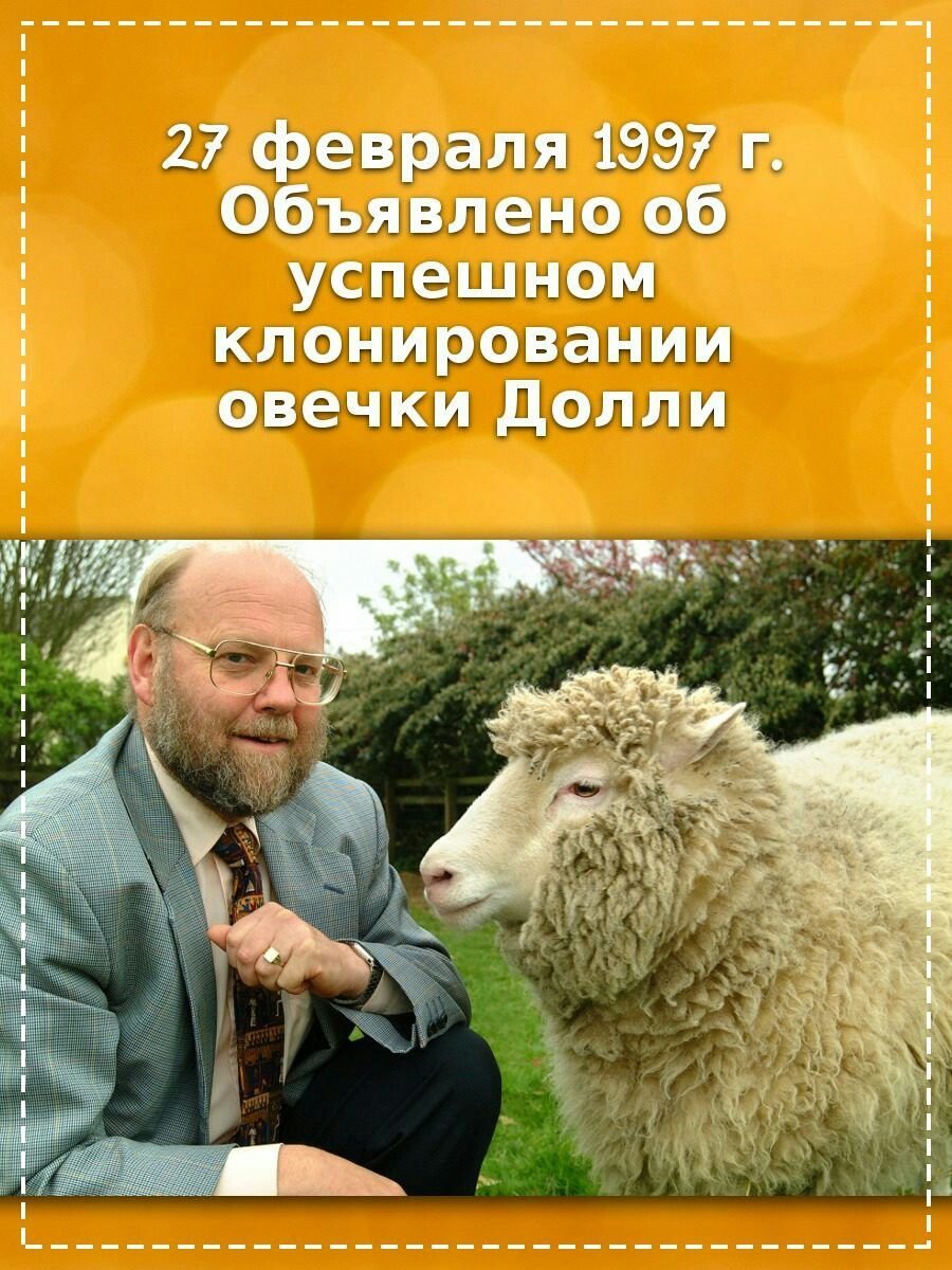 Овцы Долли и Полли