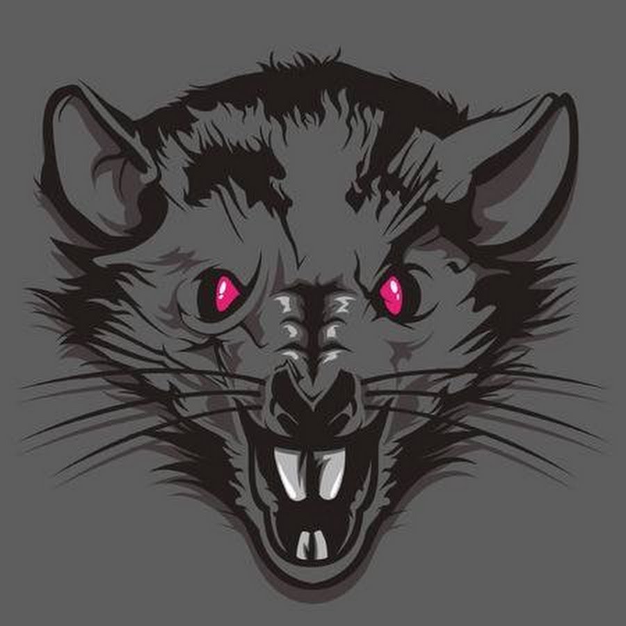 Ты крыса да я крыса