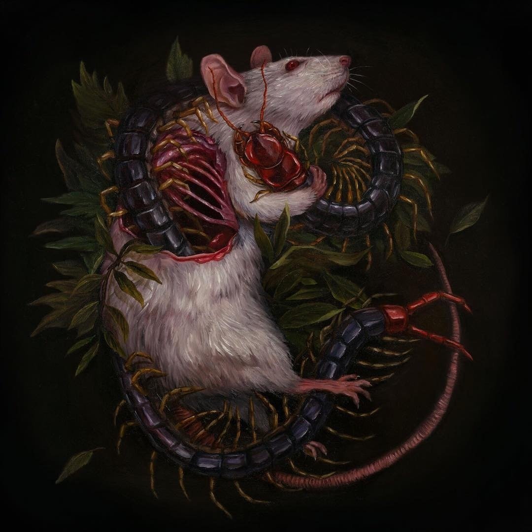 Крыса с мешком