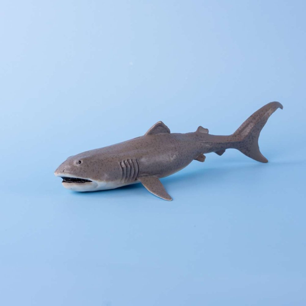 Акула большерот