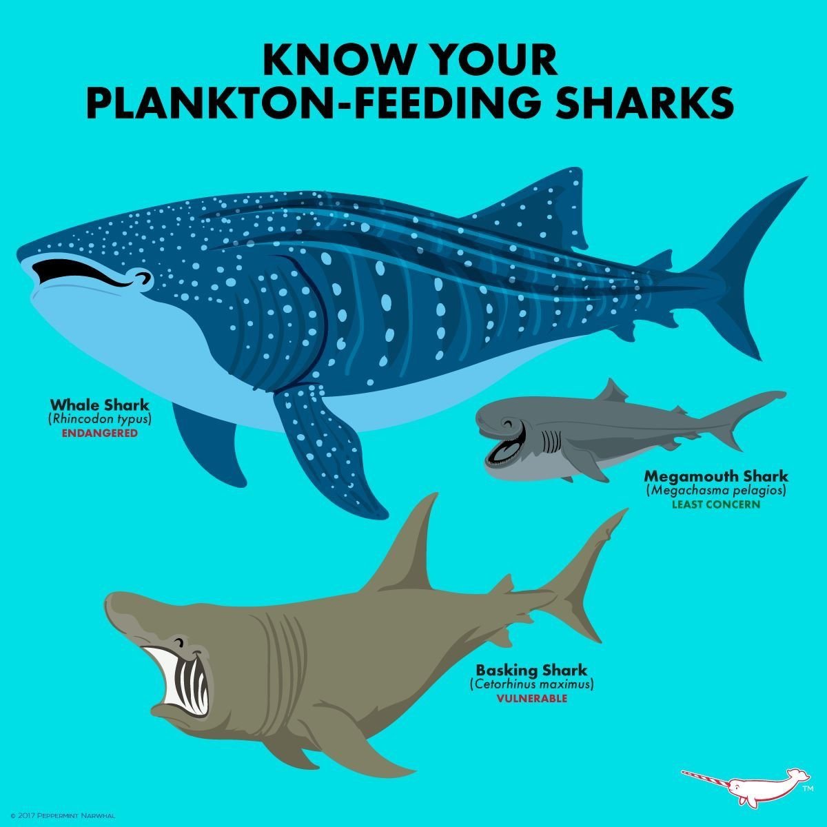 Левиафан в реальной жизни в России