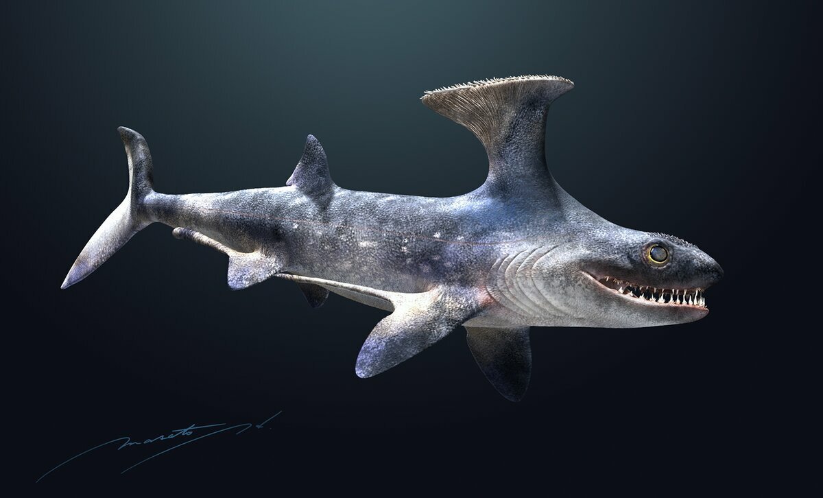 МЕГАЛОДОН Шарк