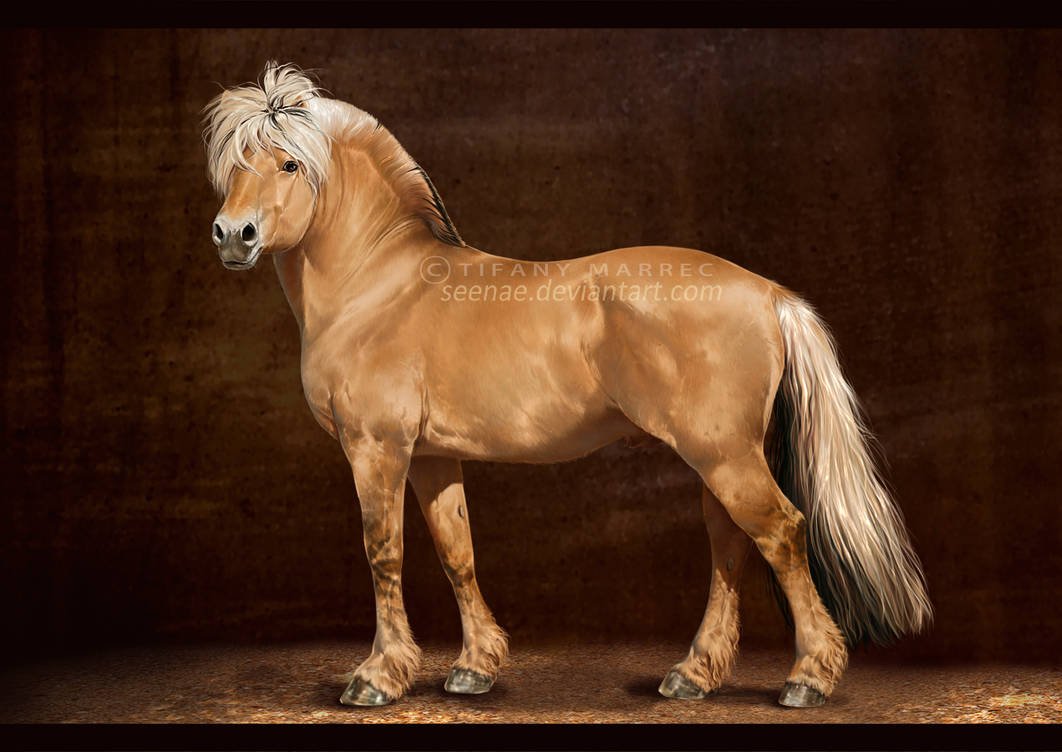 Норвежский Фьорд порода лошадей