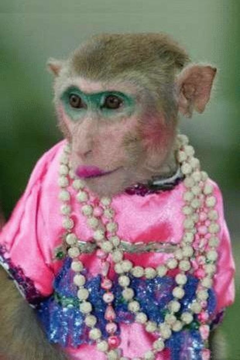 Забавные ситуации