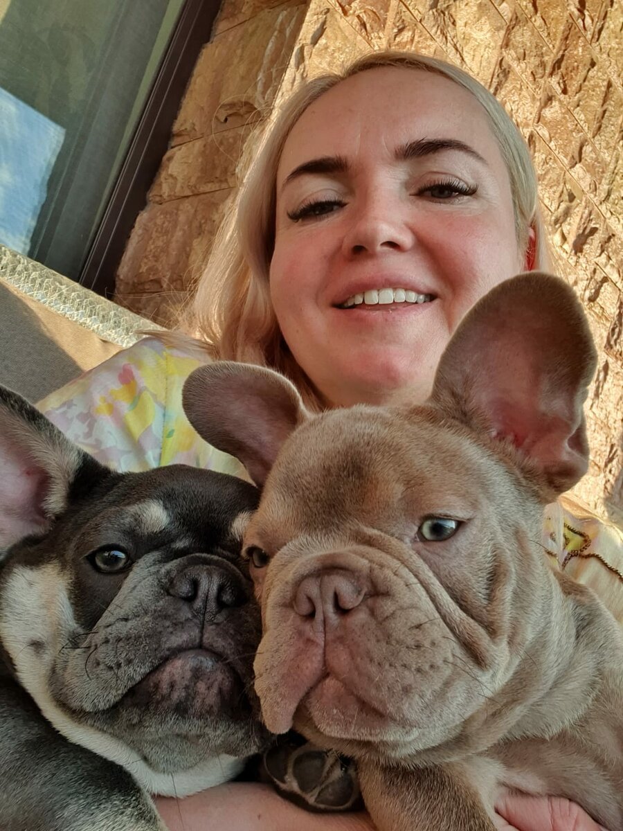 Французский бульдог