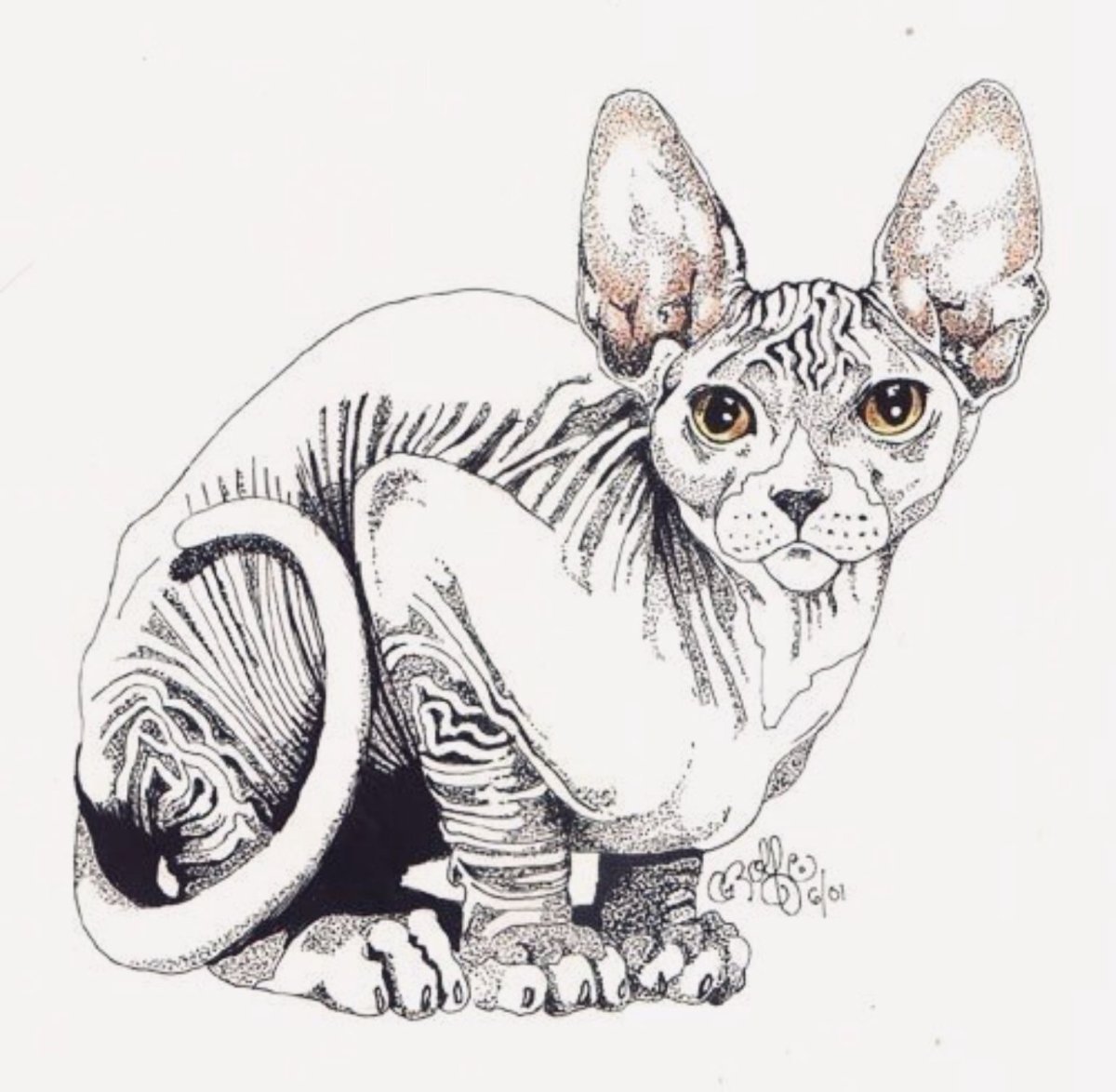 Сфинкс скетч