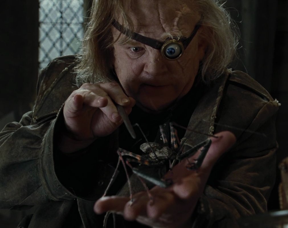 Концепт животных