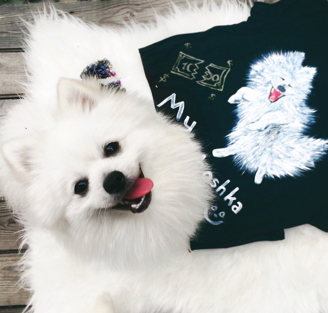 Собака Марии Вэй