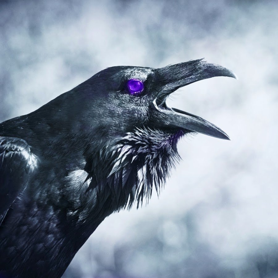 Ворона кричит