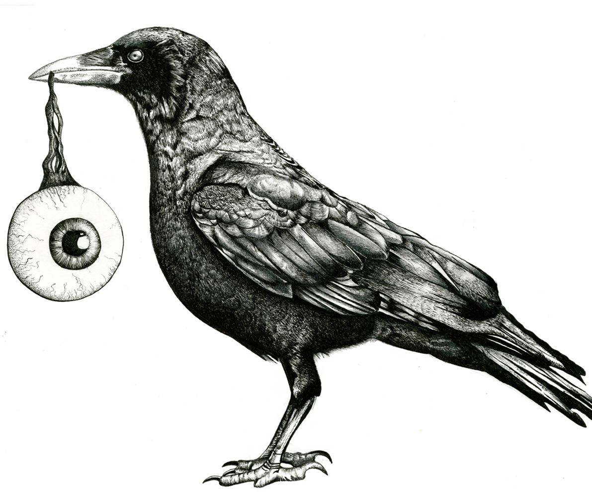 Ворон с глазом в клюве