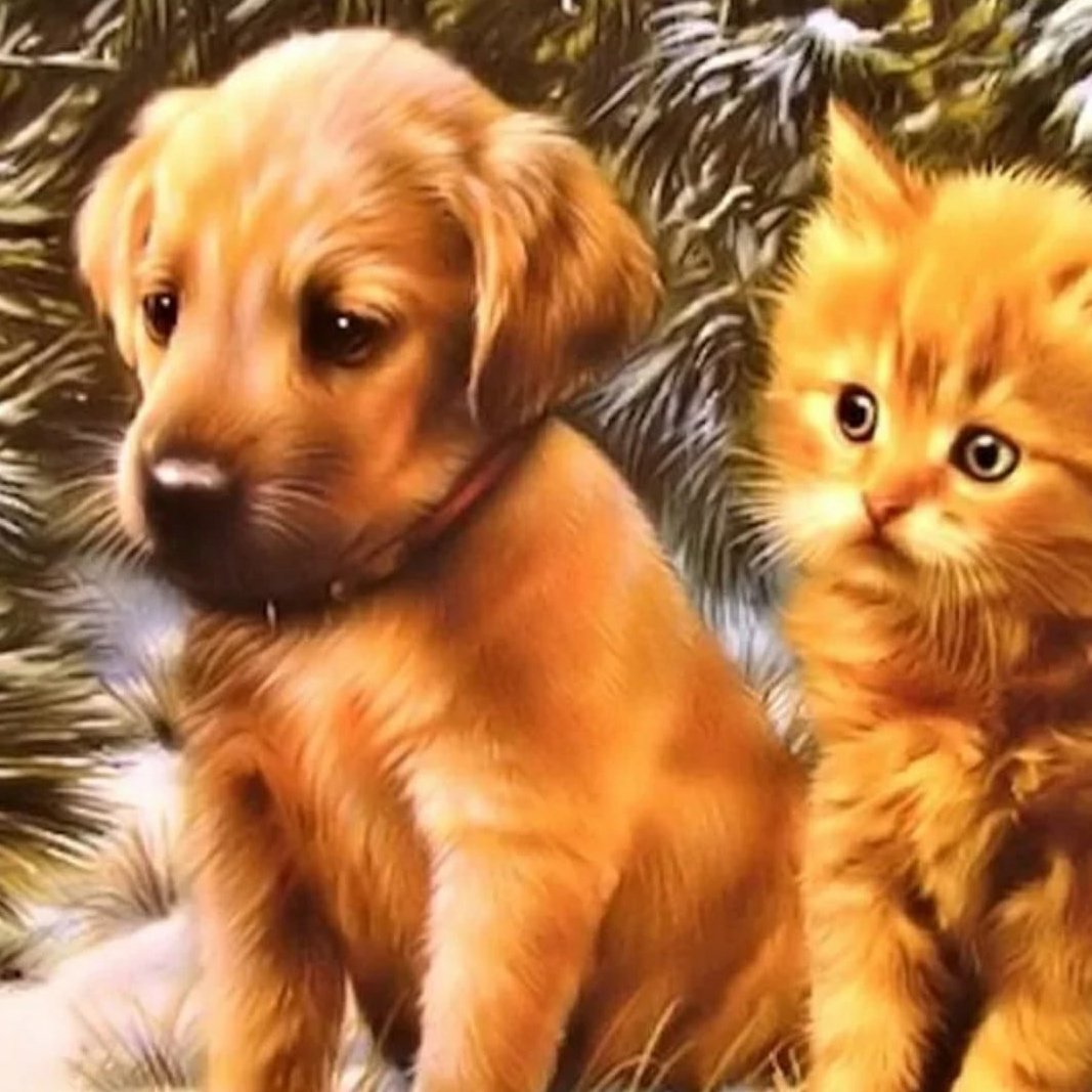 Забавные котята и щенки