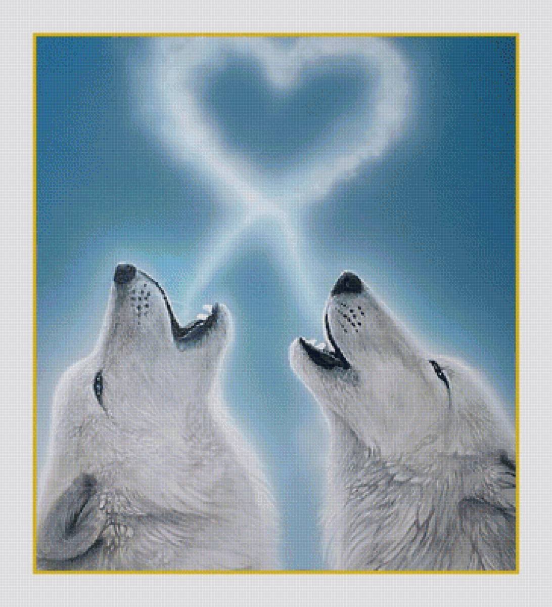 Черный и серый волк