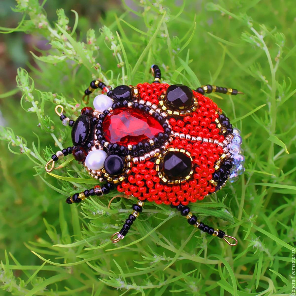 Черная Божья коровка Арлекин
