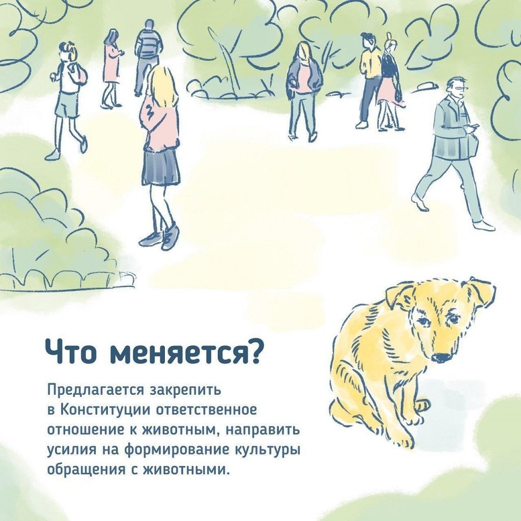 Ответственное отношение к животным