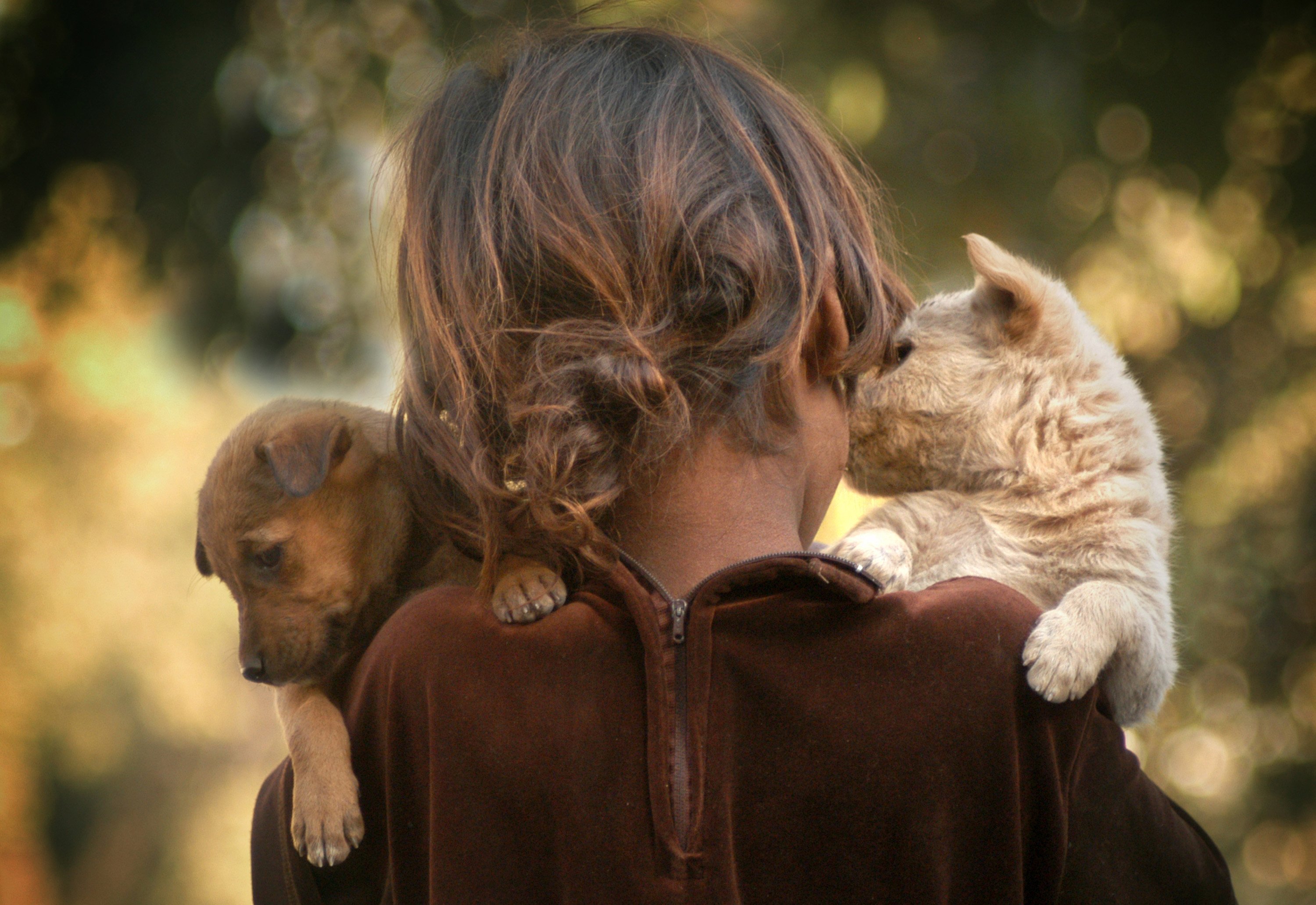 Женщина любит животных. Любовь к животным. Объятия животных. Доброта животных. Любовь детей к животным.
