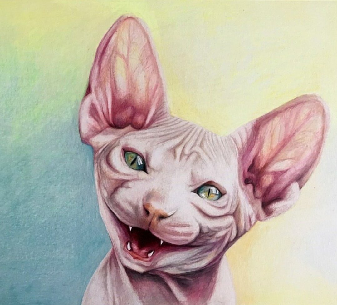 Страшный лысый кот с яйцами