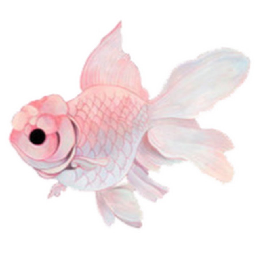 Розовая рыбка рисунок