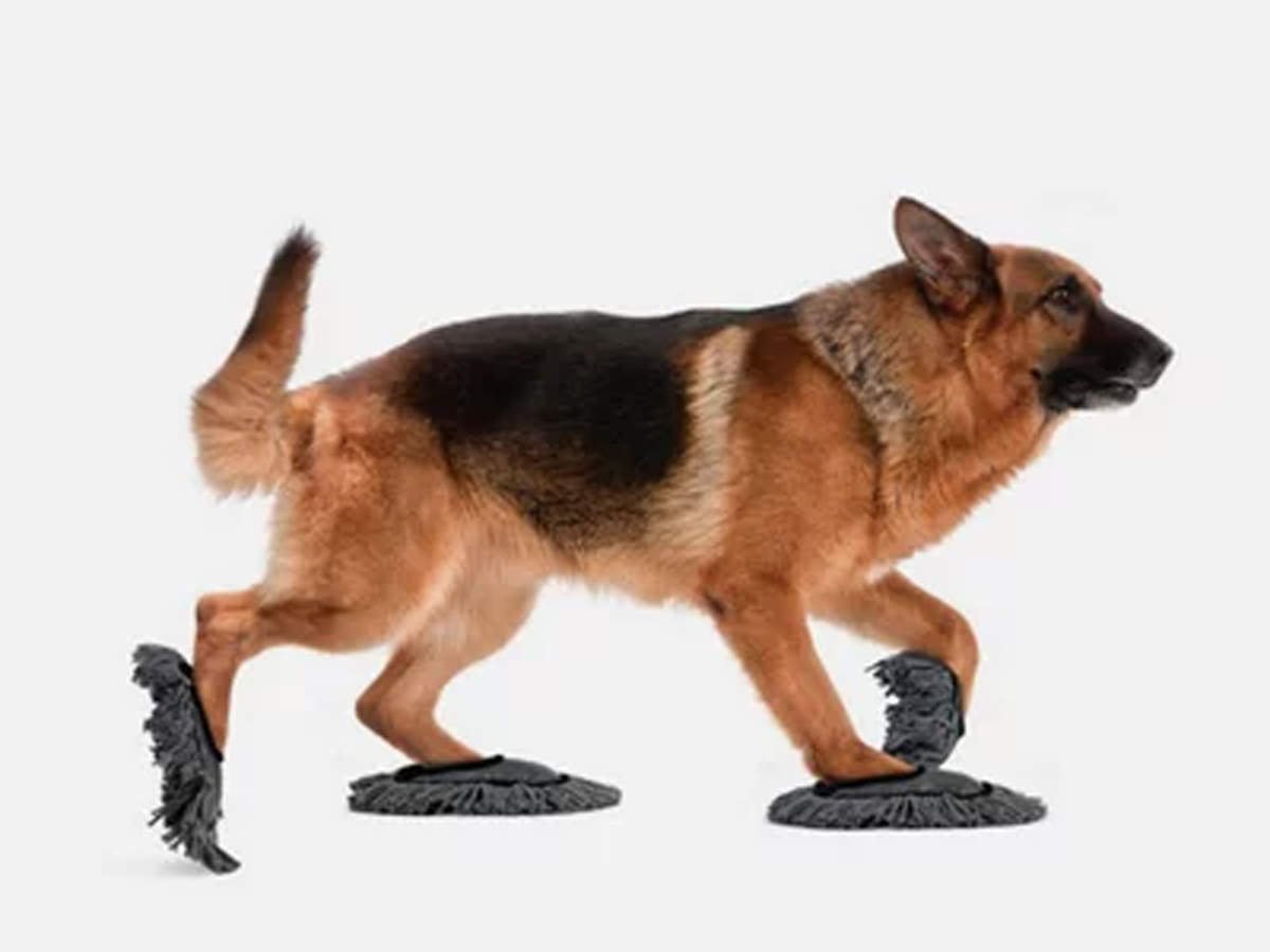 Сутулая собака игрушка