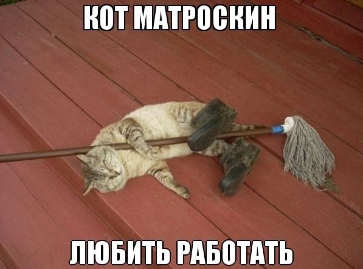 Собака мочалка Командор