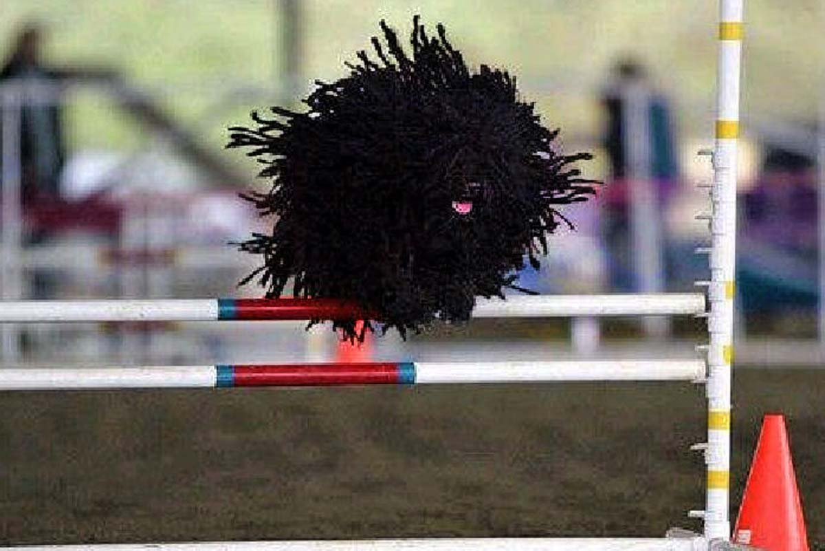 Пули в прыжке