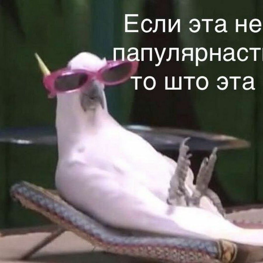 Ты БЫКАНУЛ или мне показалось