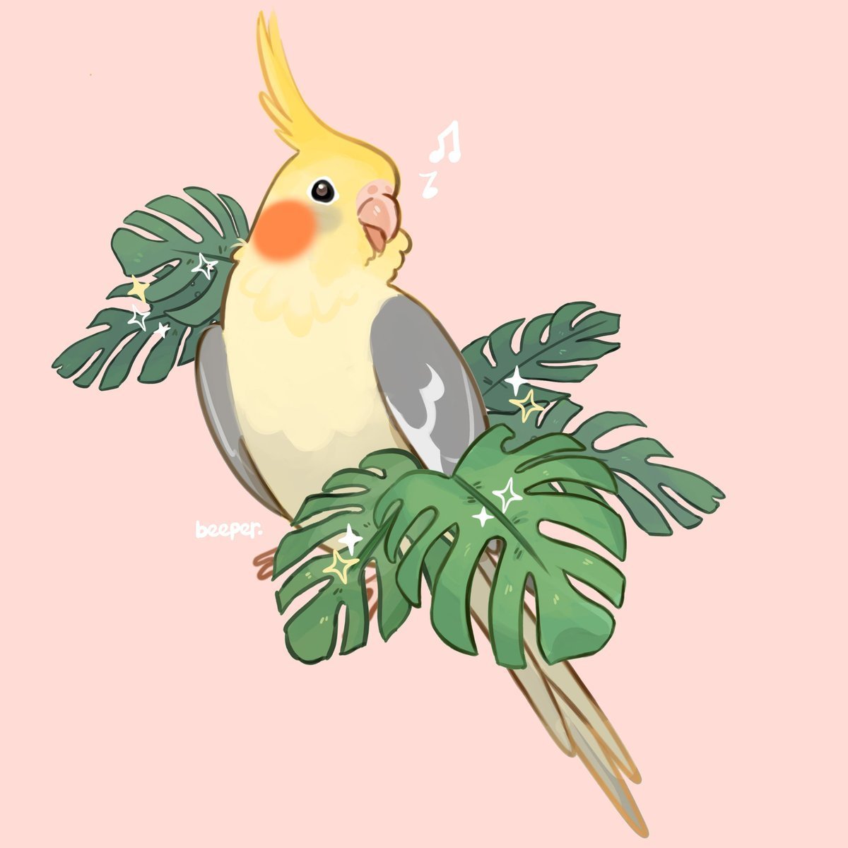 Попугай корелла арт