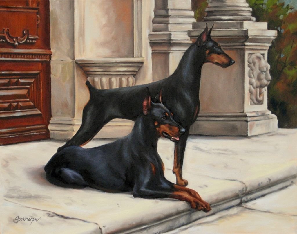 Доберман преданность