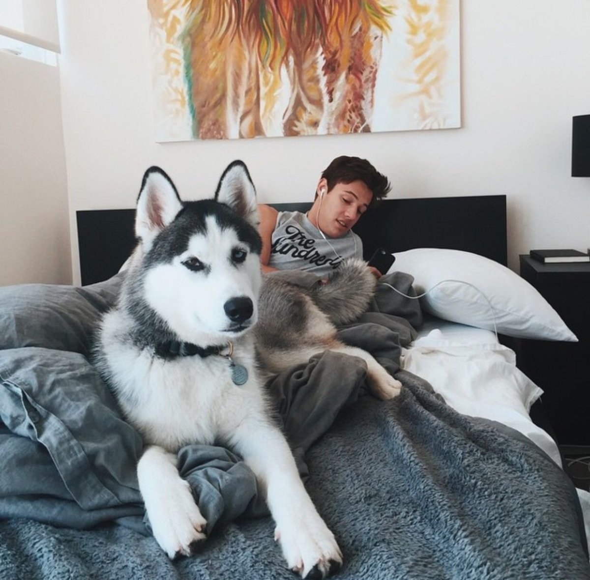 Собака носом в камеру