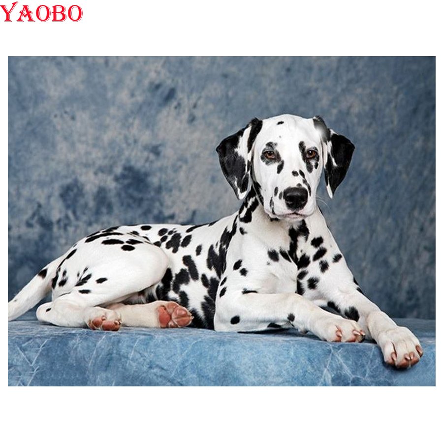 Далматин и дог