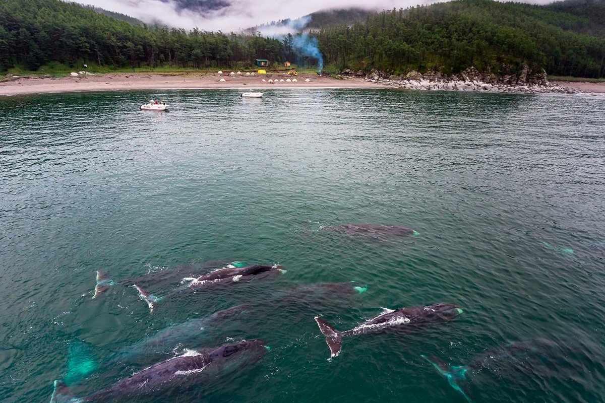 Бухта Врангеля Шантарские острова
