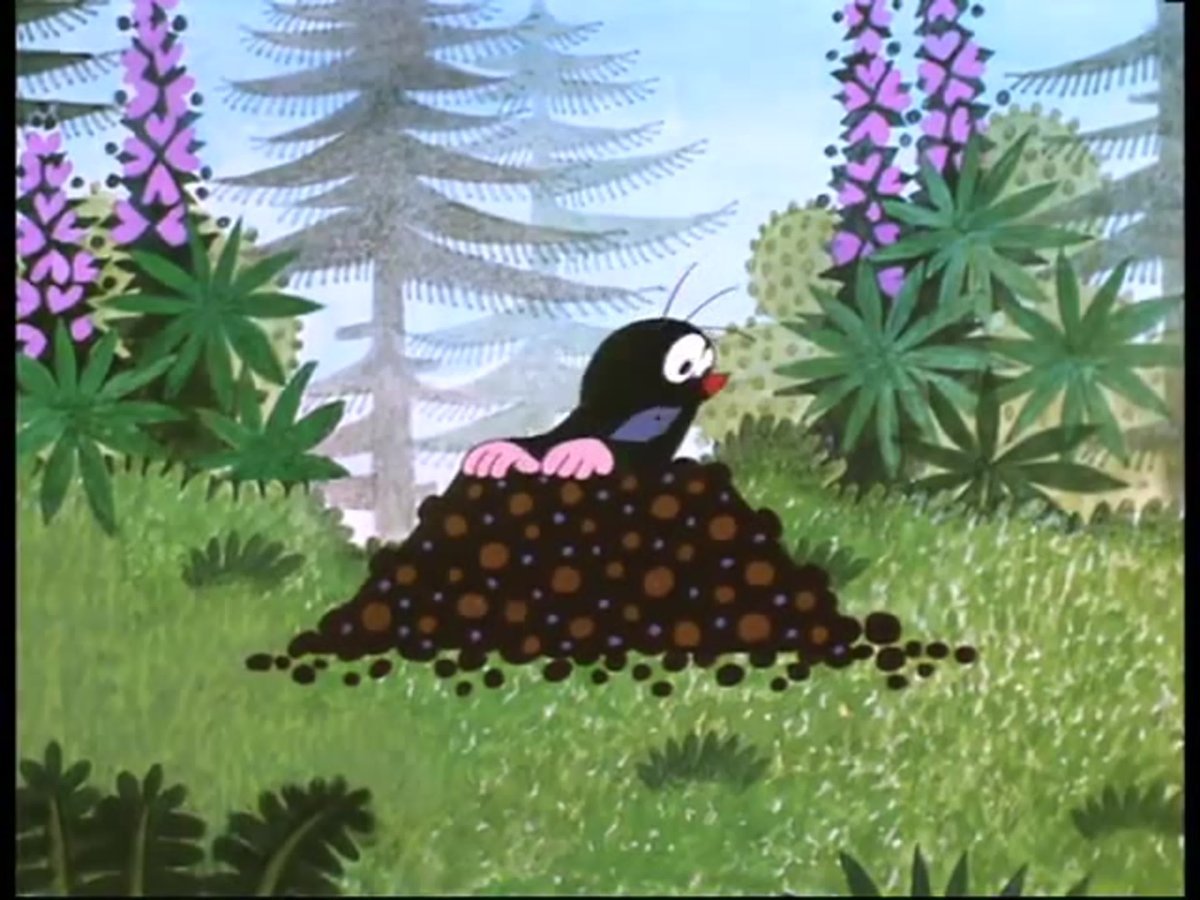 Крот слепыш