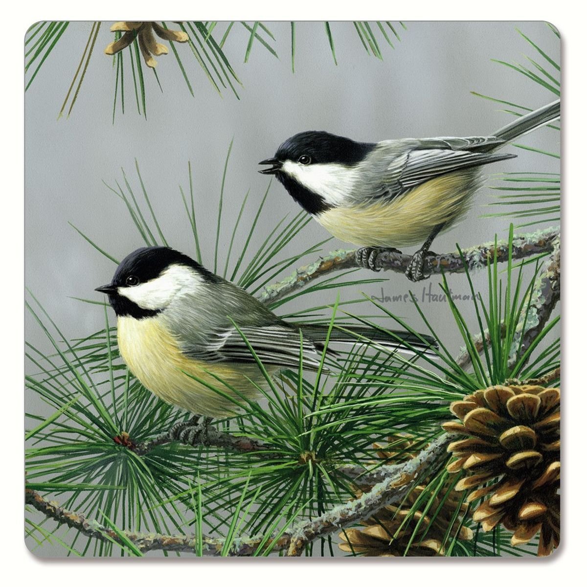 Синица зимой