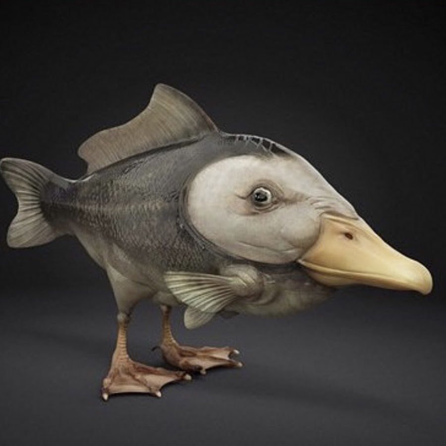 Странные утки