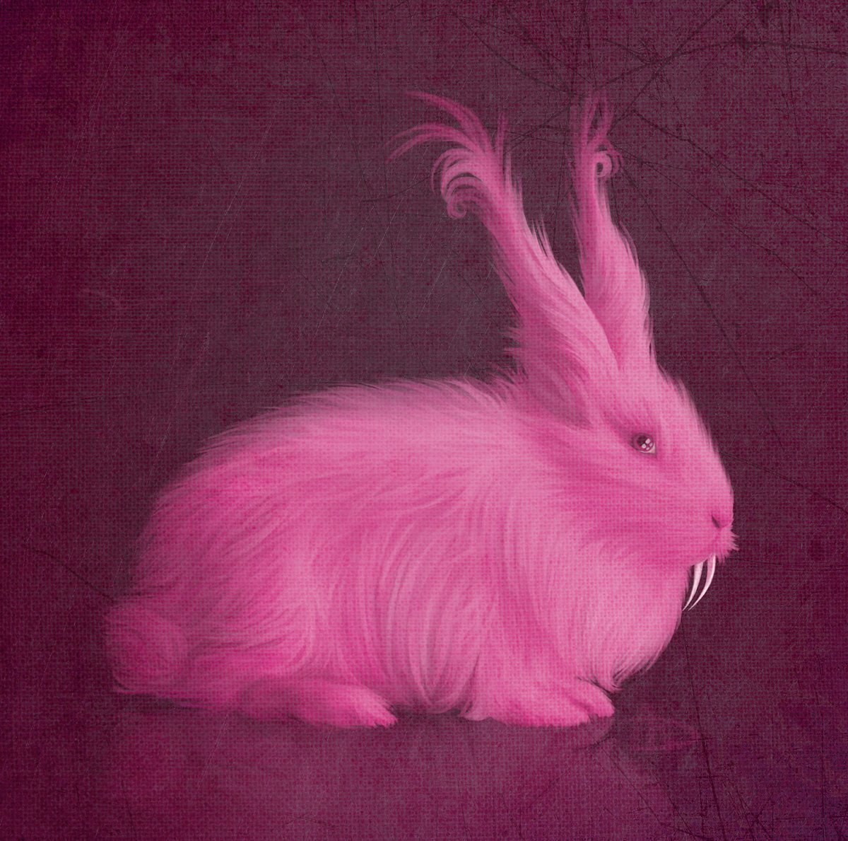 Пинк рэббит кролик