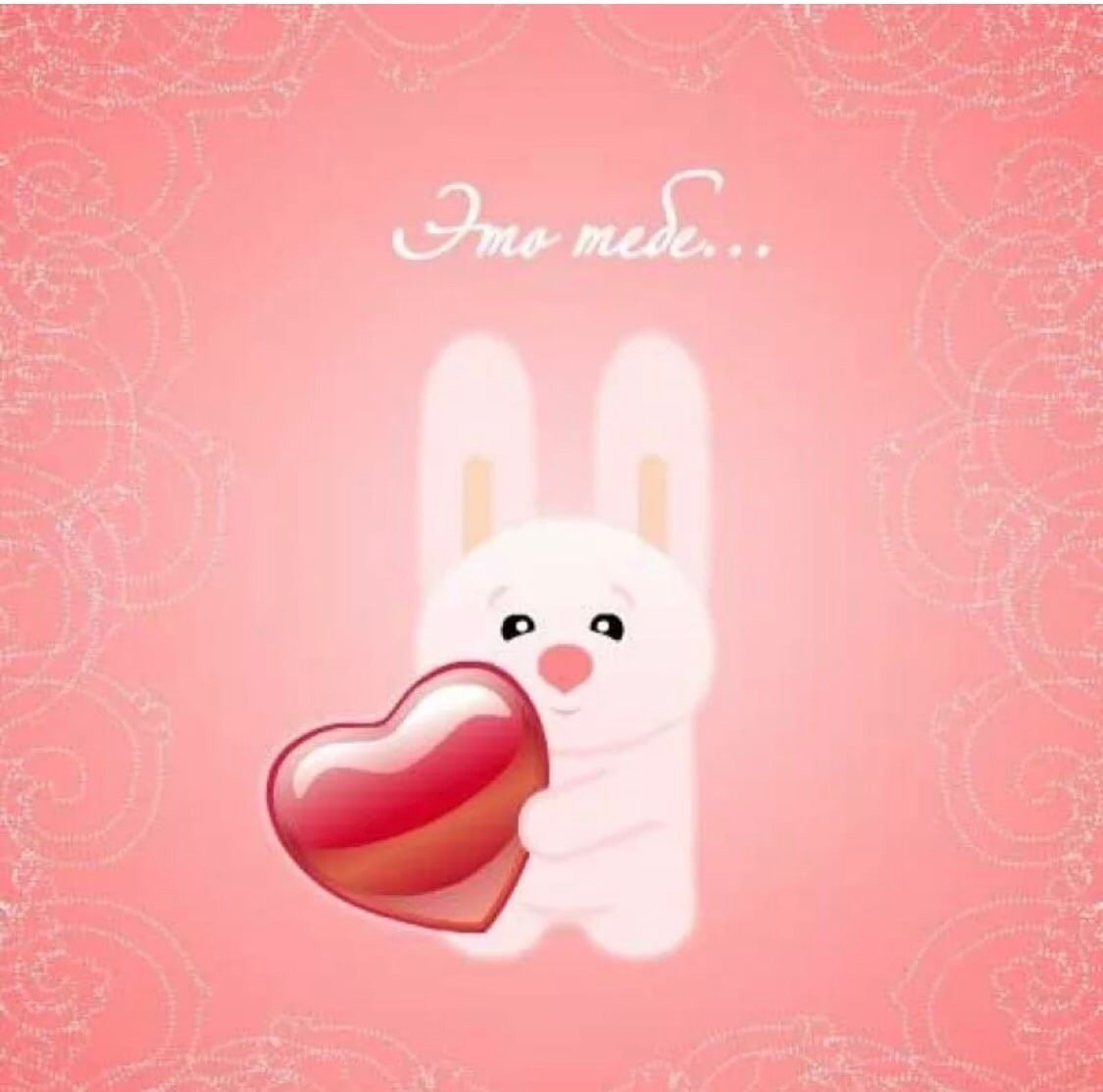 Красивая Зайка