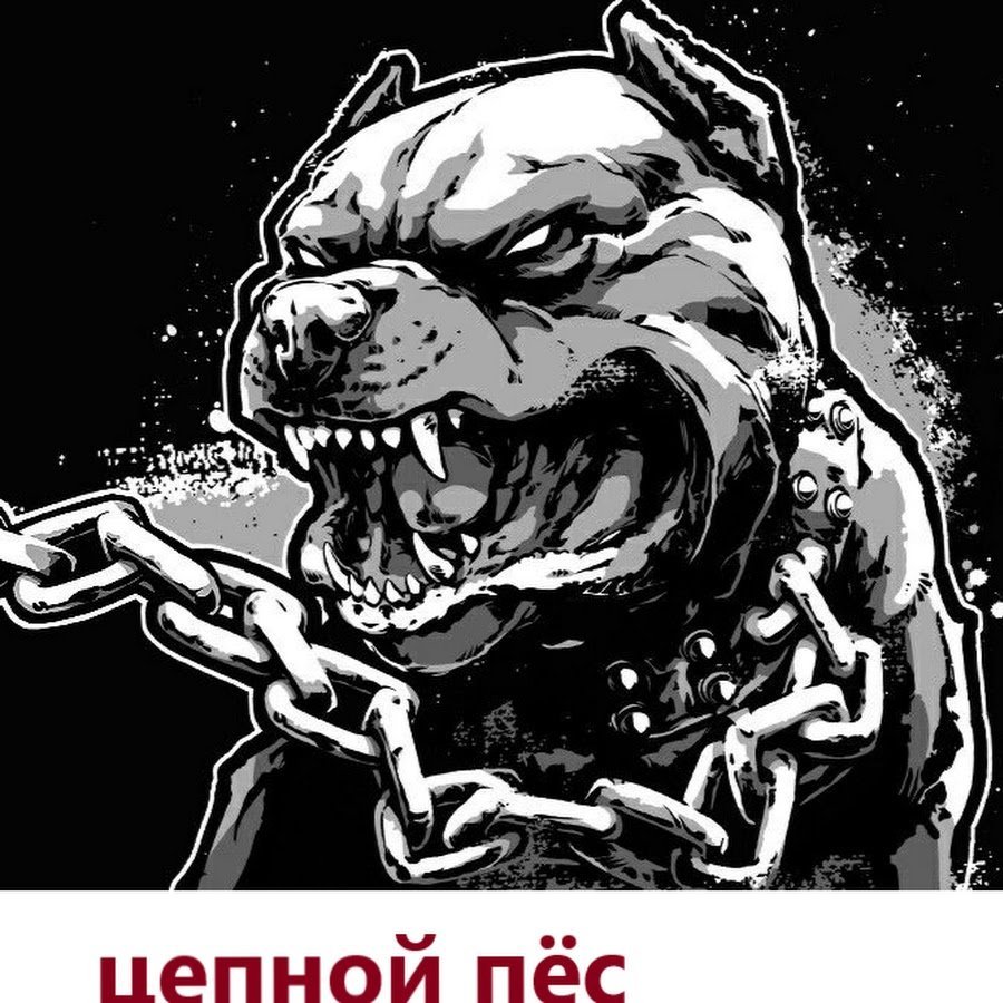 Оскал питбуля