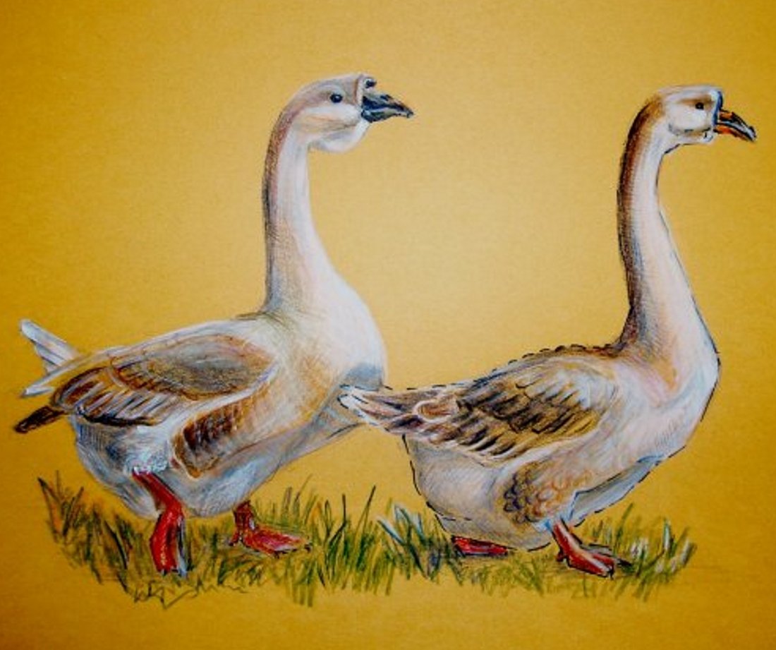 Гусь для детей